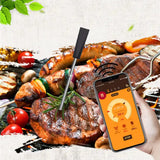 Wireless Meat Thermometer